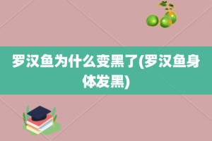 罗汉鱼为什么变黑了(罗汉鱼身体发黑)