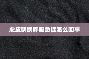虎皮鹦鹉呼吸急促怎么回事
