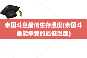 泰国斗鱼最低生存温度(泰国斗鱼能承受的最低温度)