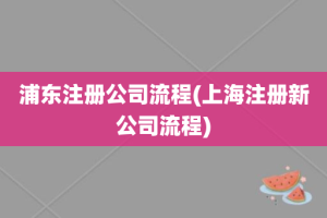 浦东注册公司流程(上海注册新公司流程)