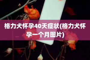 格力犬怀孕40天症状(格力犬怀孕一个月图片)