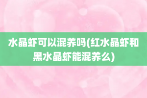 水晶虾可以混养吗(红水晶虾和黑水晶虾能混养么)