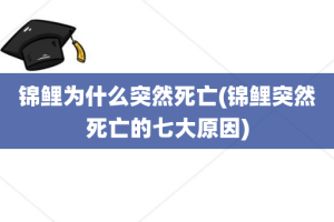 锦鲤为什么突然死亡(锦鲤突然死亡的七大原因)