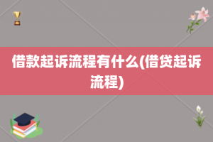 借款起诉流程有什么(借贷起诉流程)
