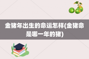 金猪年出生的命运怎样(金猪命是哪一年的猪)