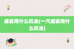 威姿用什么机油(一汽威姿用什么机油)