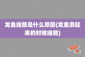 龙鱼缩鳍是什么原因(龙鱼游起来的时候缩鳍)