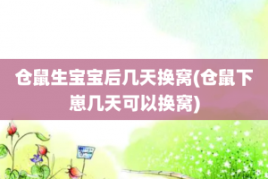 仓鼠生宝宝后几天换窝(仓鼠下崽几天可以换窝)