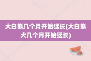 大白熊几个月开始猛长(大白熊犬几个月开始猛长)