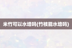 米竹可以水培吗(竹枝能水培吗)