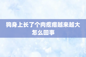 狗身上长了个肉疙瘩越来越大怎么回事