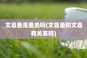 文昌鱼是鱼类吗(文昌鱼和文昌有关系吗)