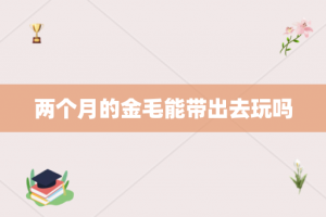 两个月的金毛能带出去玩吗