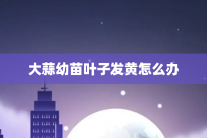 大蒜幼苗叶子发黄怎么办