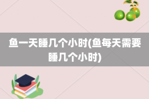 鱼一天睡几个小时(鱼每天需要睡几个小时)