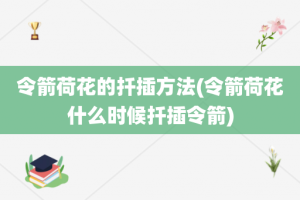 令箭荷花的扦插方法(令箭荷花什么时候扦插令箭)