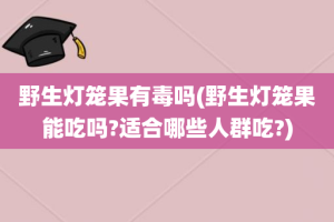 野生灯笼果有毒吗(野生灯笼果能吃吗?适合哪些人群吃?)