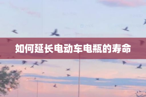 如何延长电动车电瓶的寿命