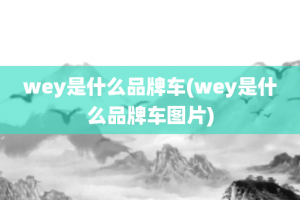 wey是什么品牌车(wey是什么品牌车图片)