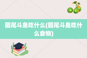 圆尾斗鱼吃什么(圆尾斗鱼吃什么食物)