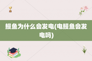 鳗鱼为什么会发电(电鳗鱼会发电吗)