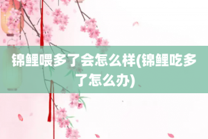 锦鲤喂多了会怎么样(锦鲤吃多了怎么办)