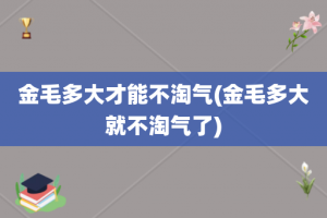 金毛多大才能不淘气(金毛多大就不淘气了)