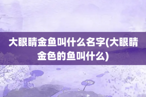 大眼睛金鱼叫什么名字(大眼睛金色的鱼叫什么)