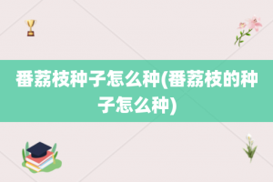 番荔枝种子怎么种(番荔枝的种子怎么种)