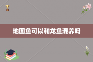 地图鱼可以和龙鱼混养吗