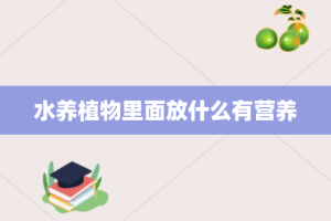 水养植物里面放什么有营养
