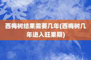西梅树结果需要几年(西梅树几年进入旺果期)