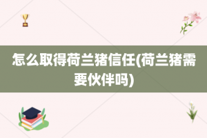 怎么取得荷兰猪信任(荷兰猪需要伙伴吗)