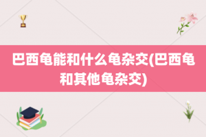 巴西龟能和什么龟杂交(巴西龟和其他龟杂交)