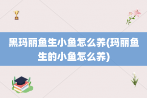 黑玛丽鱼生小鱼怎么养(玛丽鱼生的小鱼怎么养)