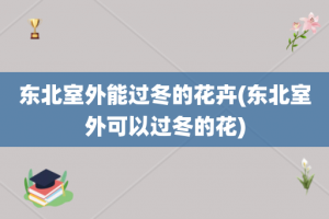 东北室外能过冬的花卉(东北室外可以过冬的花)