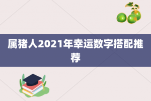 属猪人2021年幸运数字搭配推荐