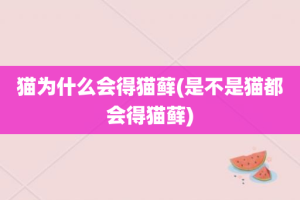 猫为什么会得猫藓(是不是猫都会得猫藓)