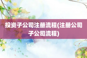投资子公司注册流程(注册公司子公司流程)