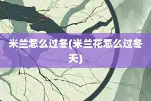 米兰怎么过冬(米兰花怎么过冬天)