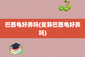 巴西龟好养吗(变异巴西龟好养吗)