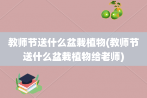 教师节送什么盆栽植物(教师节送什么盆栽植物给老师)