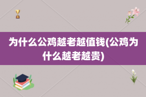 为什么公鸡越老越值钱(公鸡为什么越老越贵)