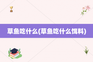 草鱼吃什么(草鱼吃什么饵料)