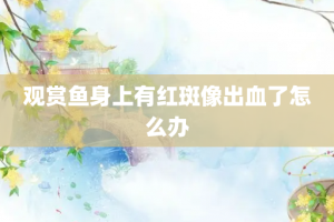 观赏鱼身上有红斑像出血了怎么办
