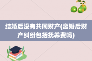 结婚后没有共同财产(离婚后财产纠纷包括抚养费吗)