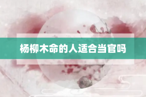 杨柳木命的人适合当官吗