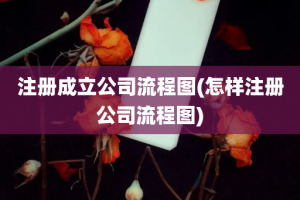 注册成立公司流程图(怎样注册公司流程图)