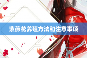 紫薇花养殖方法和注意事项