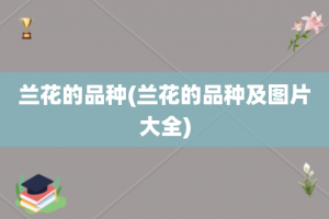兰花的品种(兰花的品种及图片大全)